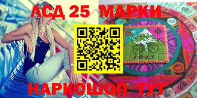 индика Можга