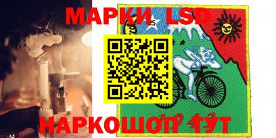 индика Можга