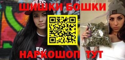 индика Можга