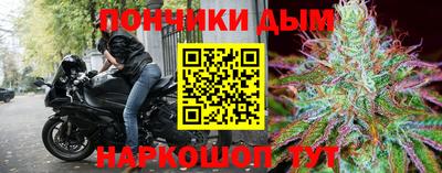 индика Можга