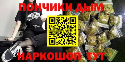 индика Можга