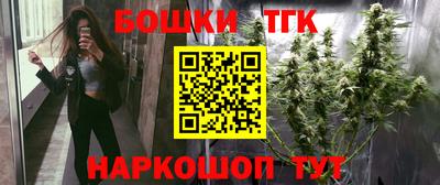 индика Можга