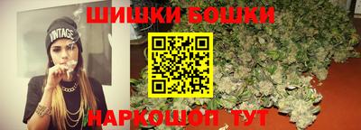 индика Можга