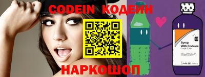 индика Можга