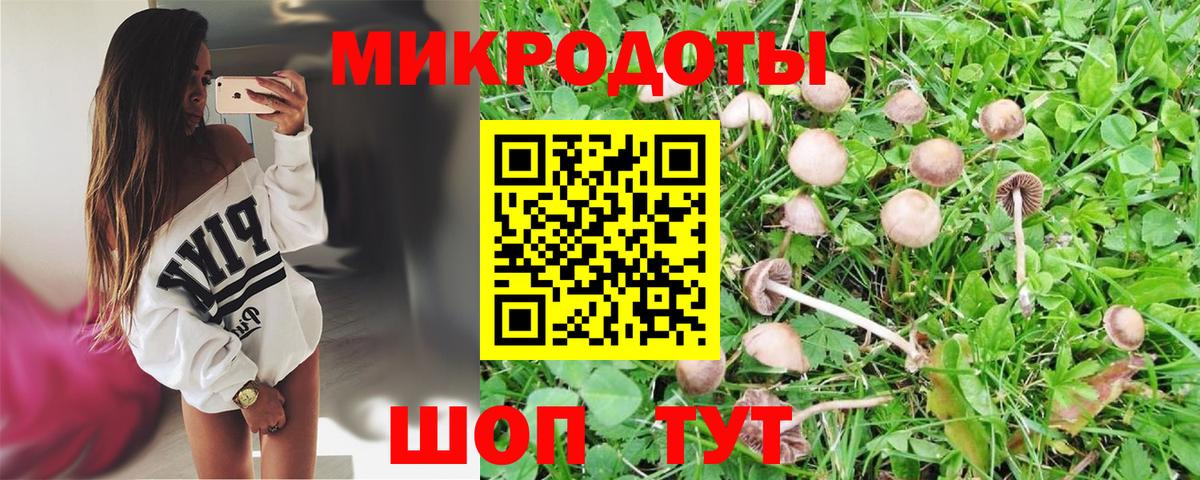 Псилоцибиновые грибы Psilocybine cubensis Вятские Поляны